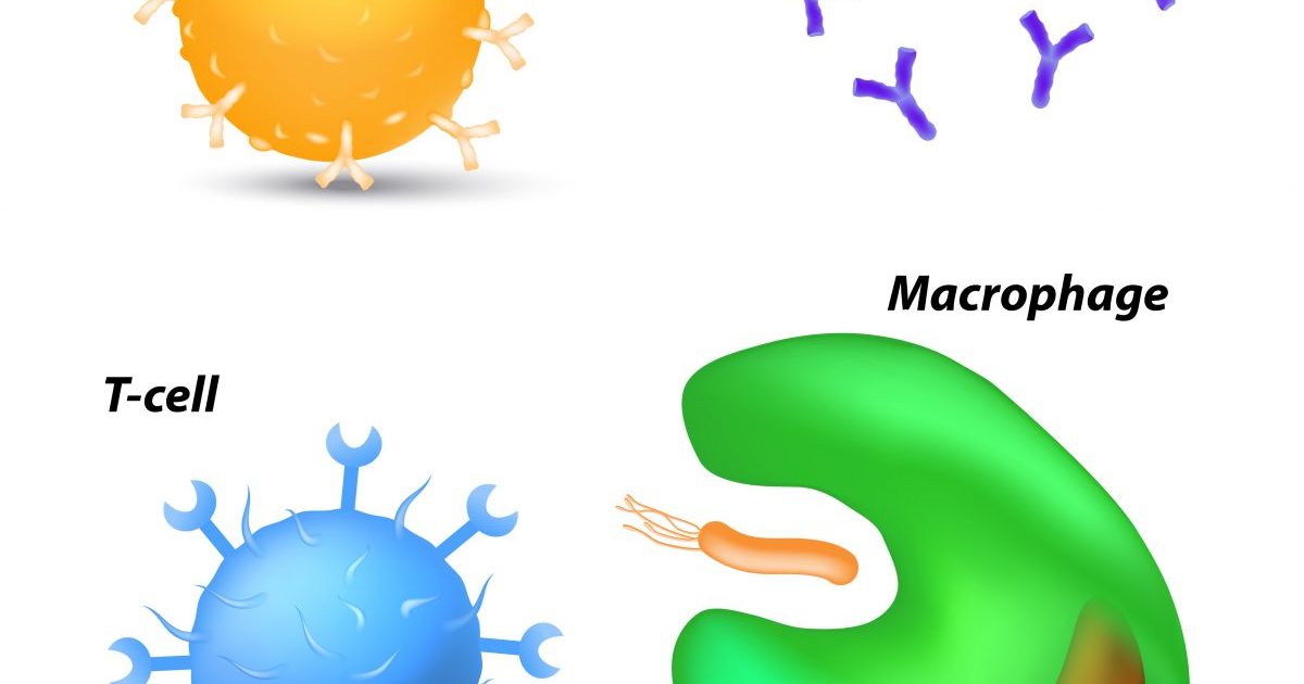 t cell lymphoma treatment