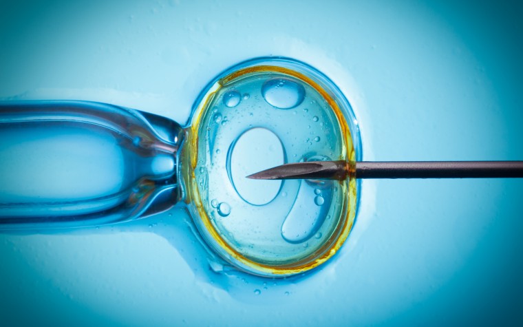 assisted reproduction