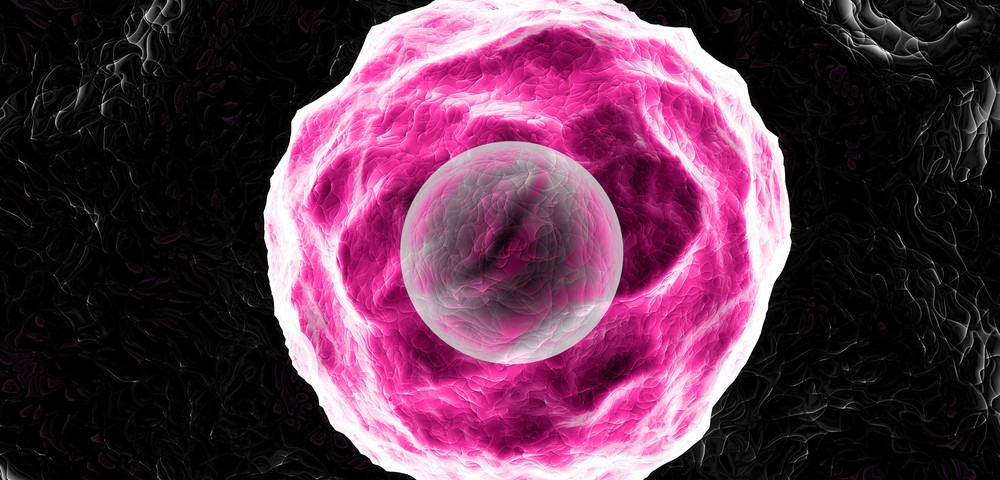 New Compounds Seen to Kill Lymphoma/Leukemia Cells via Tumor Suppressor Pathway