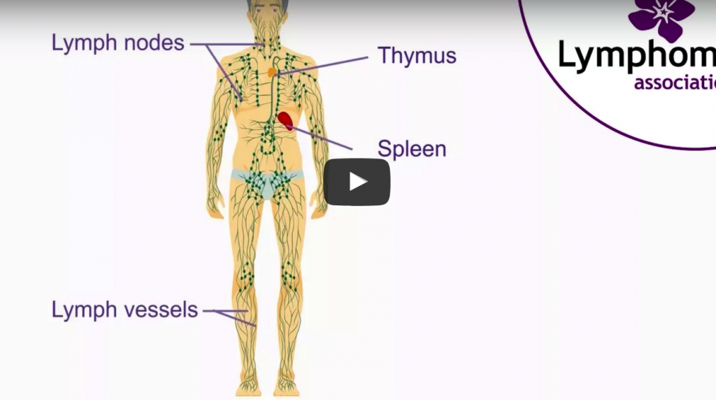 The Lymphoma Association Explains What Lymphoma Is | Lymphoma News Today