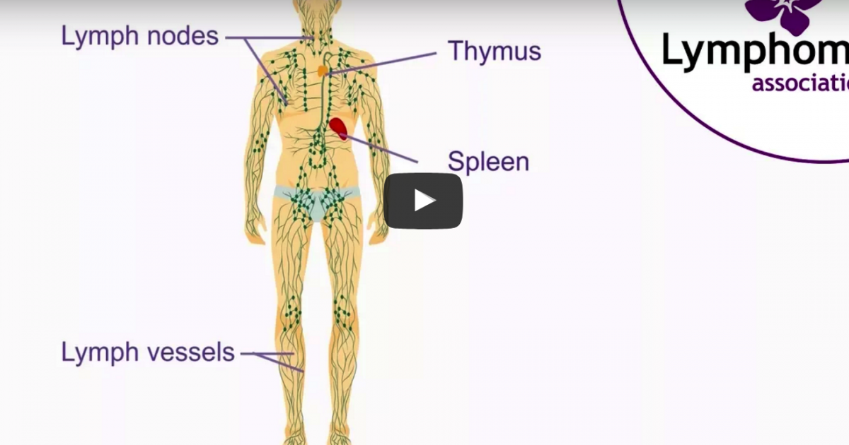 The Lymphoma Association Explains What Lymphoma Is | Lymphoma News Today