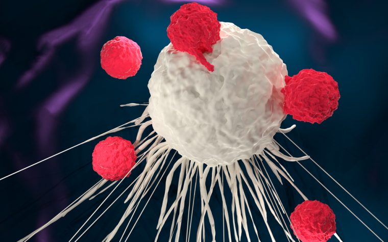 AUTO3, a novel CAR T-cell therapy