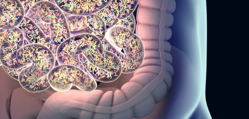 Dietary Supplement with Probiotics, Digestive Enzymes May Protect Gut from Chemotherapy Side Effects